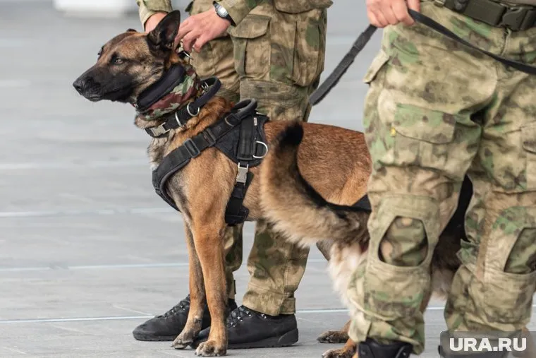 Женщину ищут почти сутки