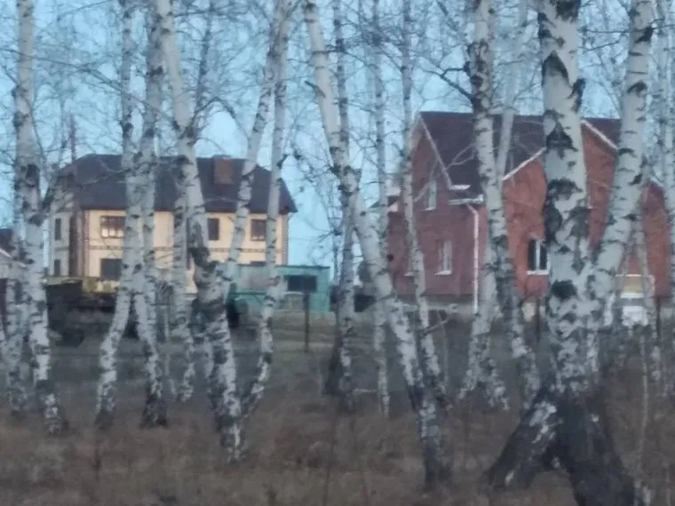 Коттеджи главы Нагайбакского района Виталия Гайсина и Ивана Фархутдинова