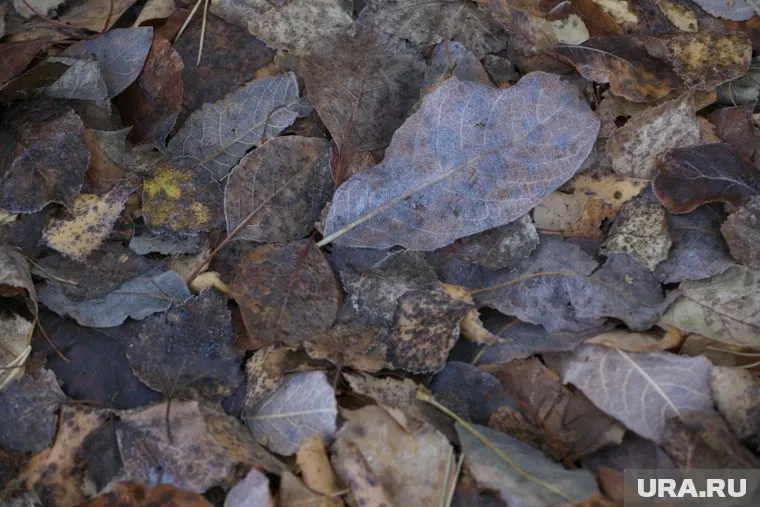 Арктическое вторжение продлится со вторника по четверг (архивное фото)