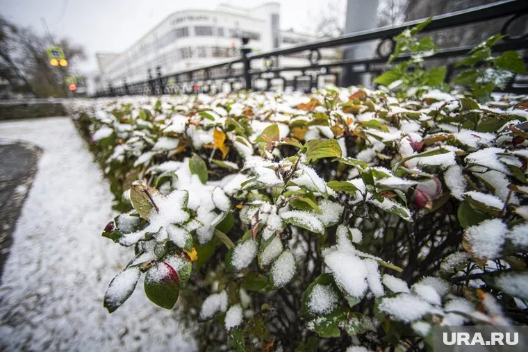 В Екатеринбурге 11 октября будет облачно и снежно