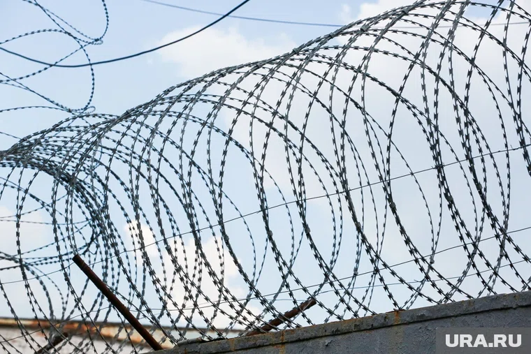 Колония №6 вскоре будет распущена