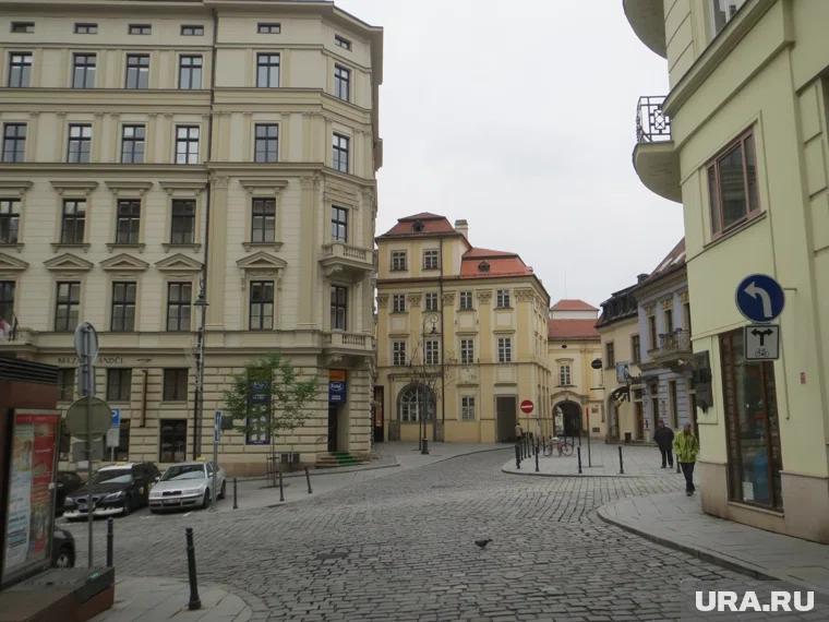 Движение в Чехии ANO победило на выборах