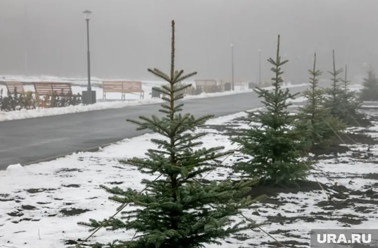 ММК обновил парк у Вечного огня