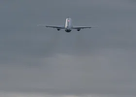 Фотография из галереи