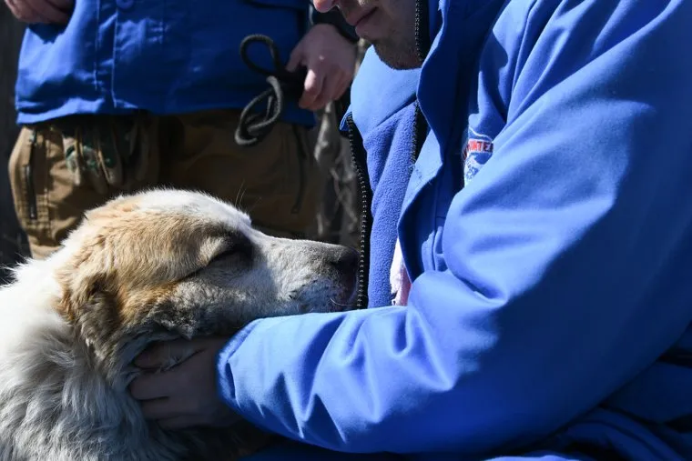 Затопление в мкр Челноково. Курган