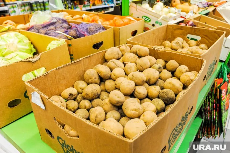Цены на картофель в РФ удержат в рамках договоренностей с ритейлерами