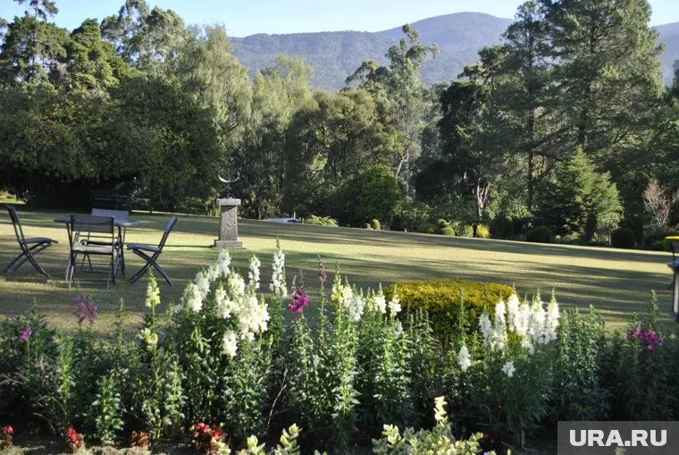 Шри-Ланка ввела бесплатные визы для ряда государств
