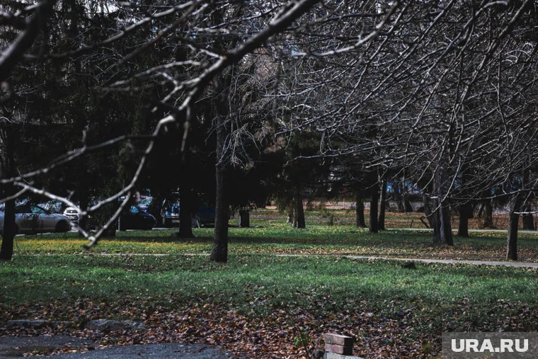 Ветер южный со скоростью 2 м/с