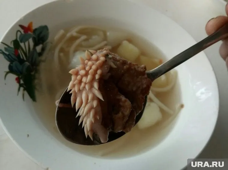 Необычный кусок мяса, найденный в школьном обеде, стал поводом для проверки