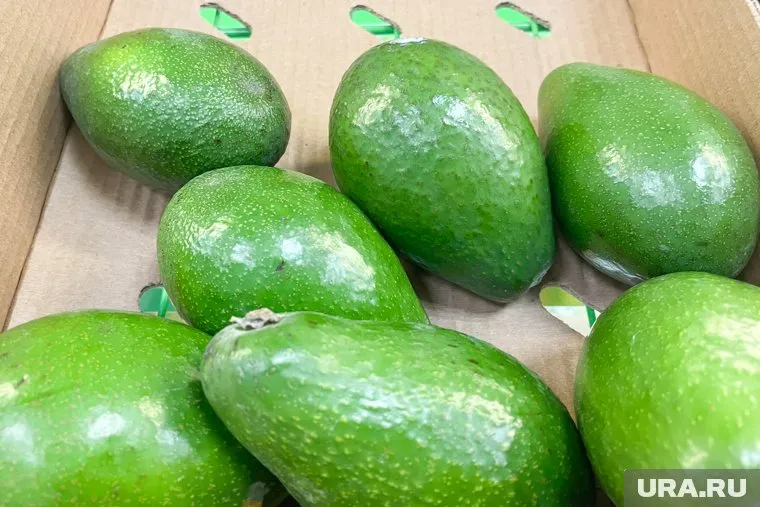 Авокадо оптимально подходит для похудения и занятий спортом