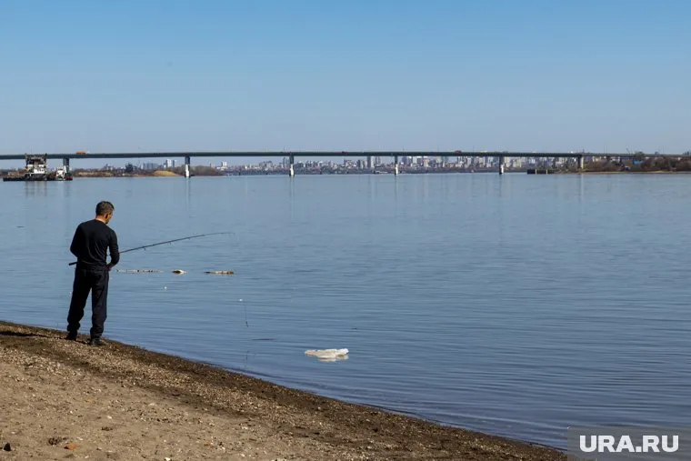 Судака в Каме водится много, рассказал Андрей Питерцов