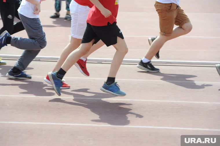 Стадион в посёлке Рощино полностью готов к эксплуатации (архивное фото)