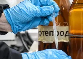 Фотография из галереи