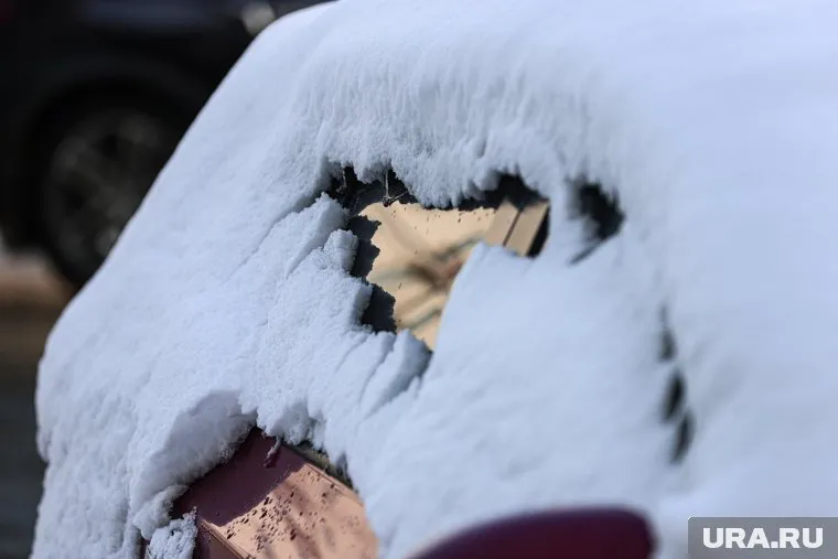 Москвичей попросили быть осторожней из-за осадков и сильного ветра в выходные дни