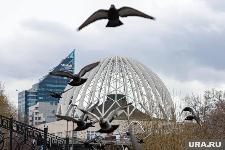 Цирк должны открыть для гостей в 2027 году