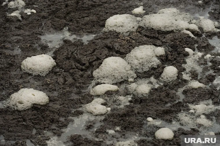 За загрязнение земли фермера наказали