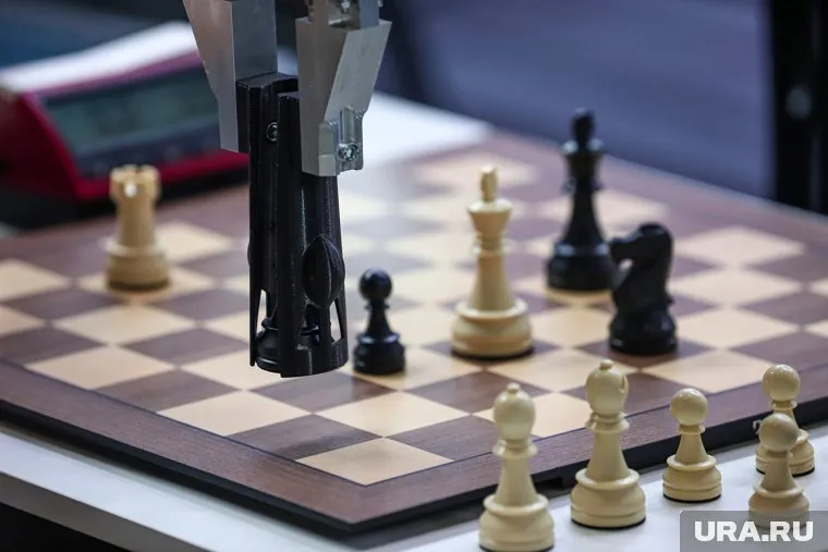 В ХМАО шахматами занимаются свыше 72,5 тысячи человек