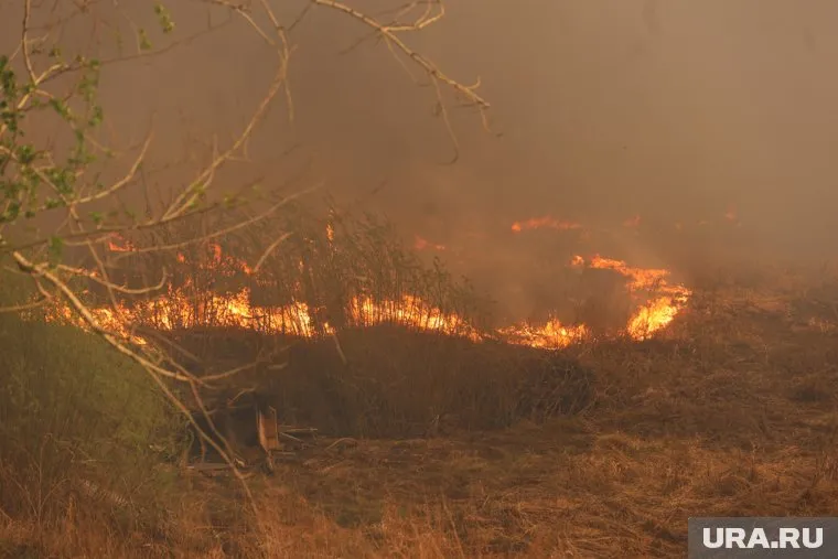 МЧС просит курганцев не жечь сухую траву