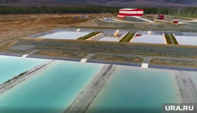 В реках начали водиться утки, бобры, щука, плотва и даже хариус