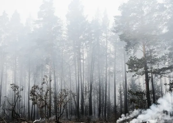 Фотография из галереи