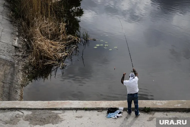 Курганцы в Тоболе ловят карасей и лещей