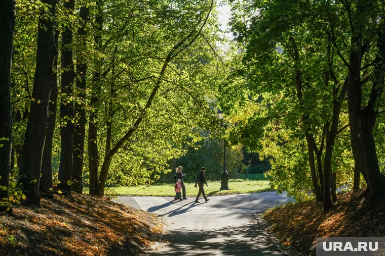 Эксперт отметил, что универсального способа создания «идеального» парка нет