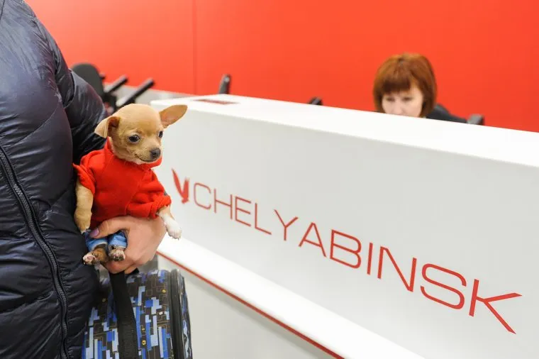 Аэропорт Игорь Курчатов. Челябинск