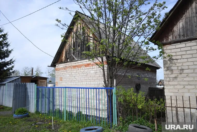 Краснокнижные деревья нельзя рубить даже собственникам участков