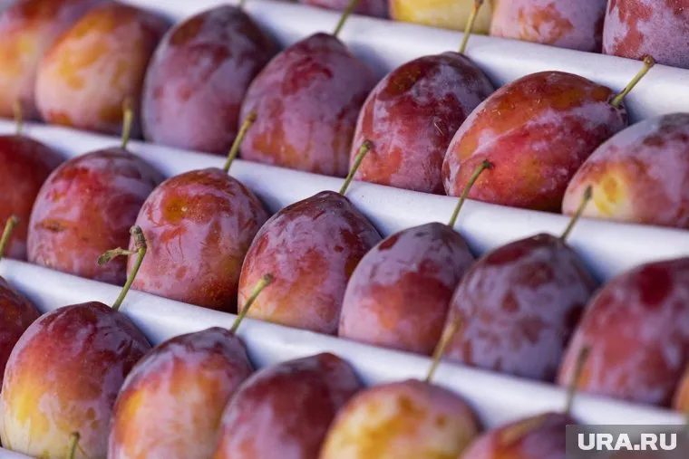 Под контролем Россельхознадзора безопасную продукцию отдадут в продажу