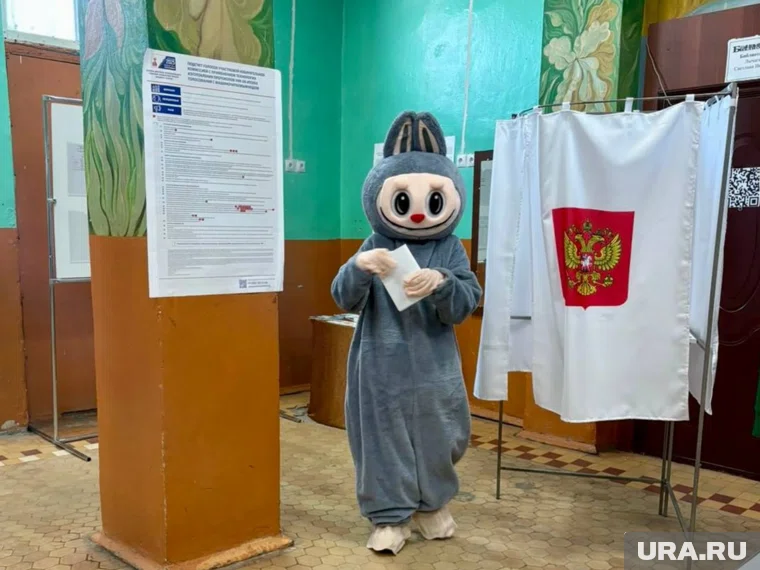 Избиратель в Чесменском районе проголосовал в образе Лабубу