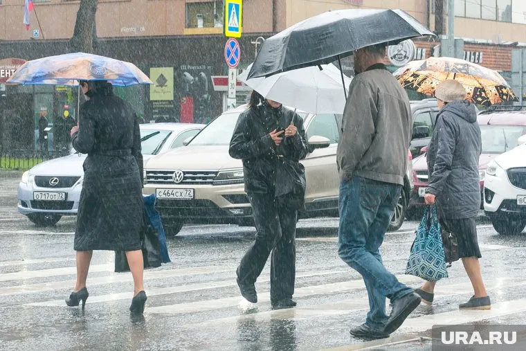 Также в Тюмени до конца недели будут небольшие дожди и сильный ветер