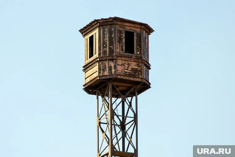 Польша с осени 2024 года планирует построить на границе с РФ 19 наблюдательных вышек, заявил Круль