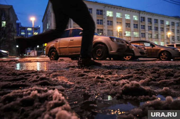 Одного изучения проб с городских улиц оказалось недостаточно