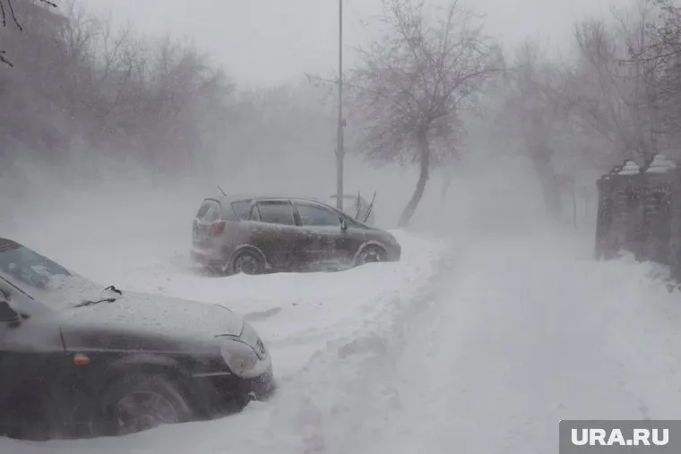 Рабочая неделя в ЯНАО будет холодной