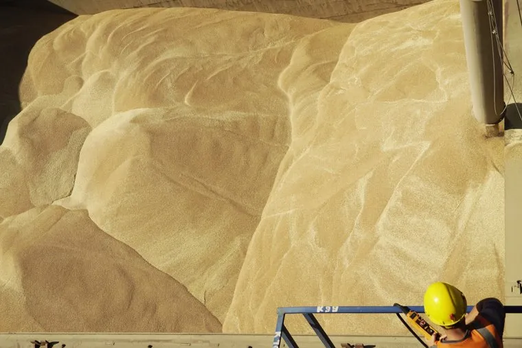 Погрузка зерна в Ростовском порту. Ростов на Дону