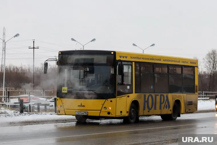 На обеспечение муниципальных перевозок планировалось потратить более 300 млн.