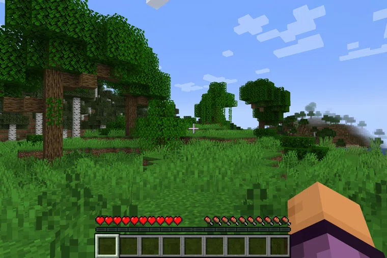 Minecraft не будет ограничен в России