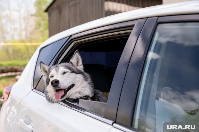 Погода в июле была комфортной для пермяков: холодной, сухой и солнечной