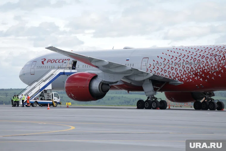 На самолет нанесут уникальное изображение