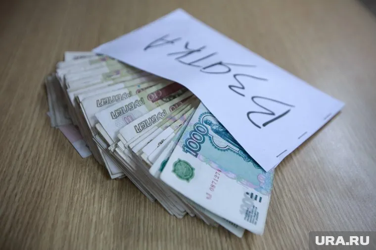 Домосканова получила от бизнесменов почти полмиллиона рублей