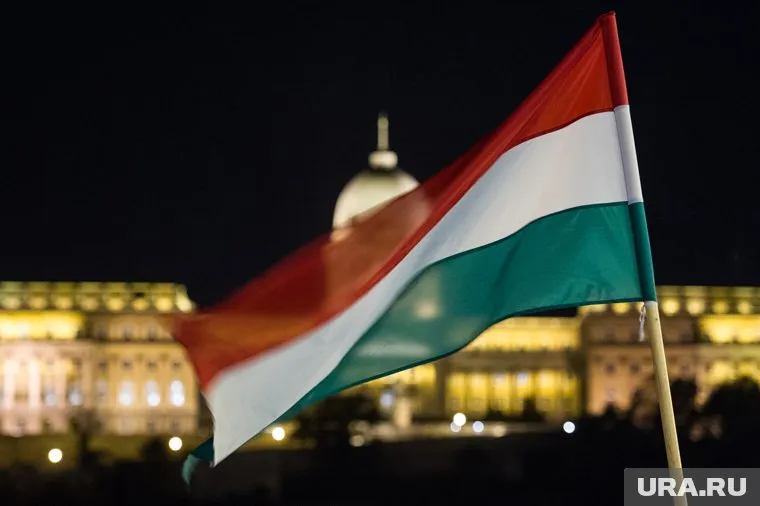 Венгрия не получила от НАТО и ЕС обещанных гарантий, заявил Дьюла Тюрмер