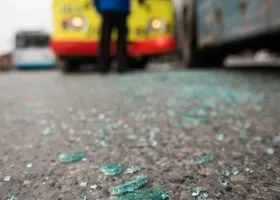 Фотография из галереи