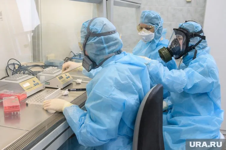 Биолаборатории Украины занимались исследованием холеры, считает Петр Чумаков