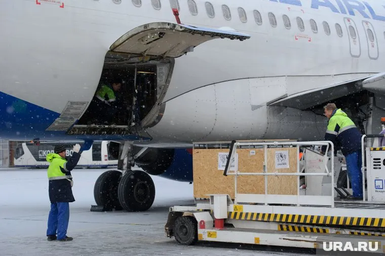 Самыми востребованными у челябинцев в 2024 году стали грузоперевозки между городами