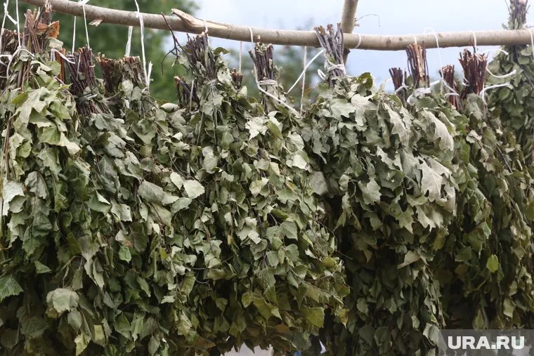 Сивинцы, провинившиеся перед законом, будут заготавливать веники для бани