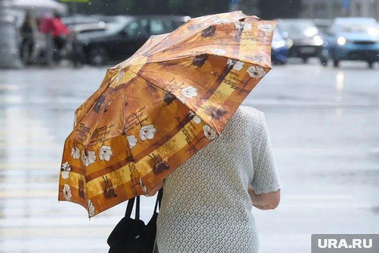 Дожди продолжатся в регионе в ближайшие сутки