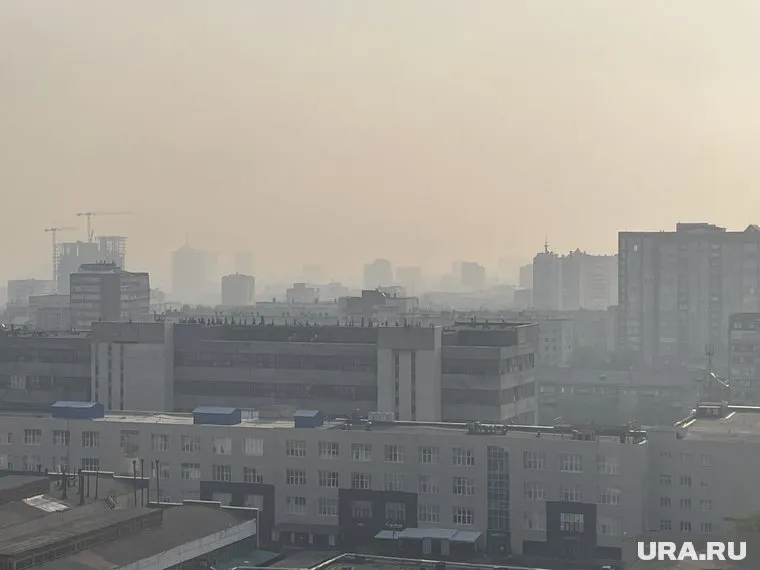 Дым от пожаров приносит ветром из соседних регионов