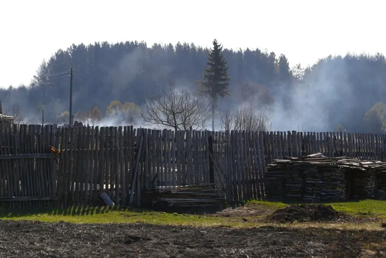 Лесные пожары. Курган