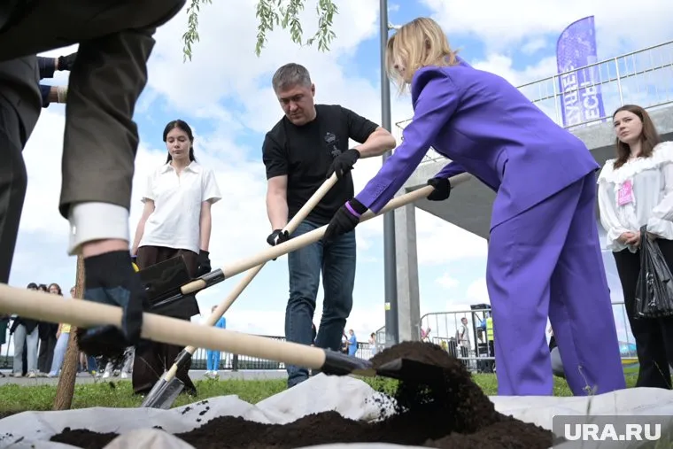Саженцы теперь будут расти возле амфитеатра