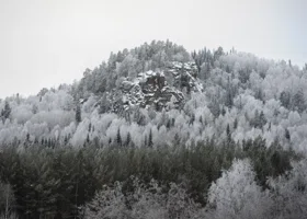 «Не проще ли уехать в Таиланд»: появились новые версии таинственного исчезновения семьи Усольцевых